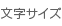 文字サイズ